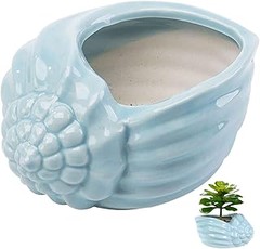 Herramientas imprescindibles para cultivar plantas mediterráneas