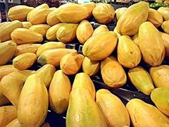 Las mejores herramientas para plantar y cuidar frutales en climas cálidos