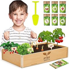 Las mejores hortalizas de fruto para tu huerto doméstico