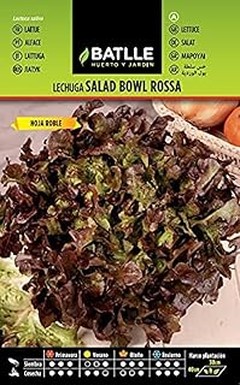 Guía para seleccionar las mejores hortalizas de hoja para cultivar