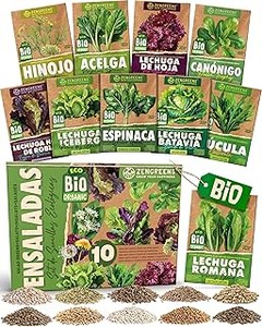 Las mejores hortalizas de hoja para cultivar en espacios reducidos