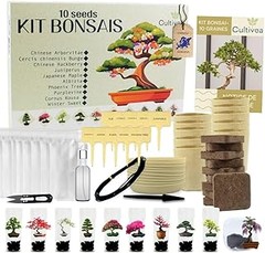 Los mejores kits de inicio de plantas de interior para principiantes