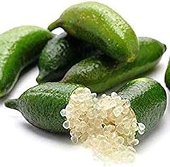 ¿Dónde comprar cítricos para macetas y terrazas?