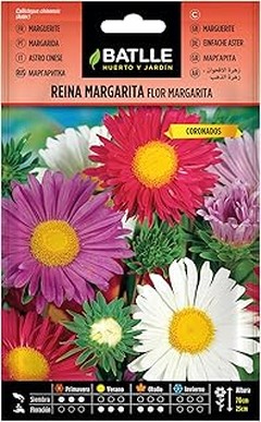¿Dónde comprar semillas de flores para cortas al mejor precio?