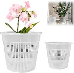Macetas recomendadas para orquídeas en interiores