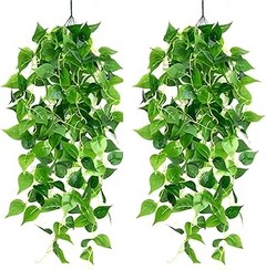 Los mejores maceteros y soportes para tus plantas colgantes