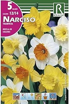 Los mejores packs de bulbos para empezar en jardinería