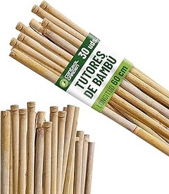 Descubre los mejores packs de enredaderas mixtas según la zona climática