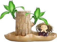 Plantas aromáticas ideales para transformar tu dormitorio