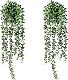 Las mejores plantas colgantes para balcones soleados