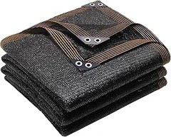 Las mejores plantas de sombra para climas húmedos