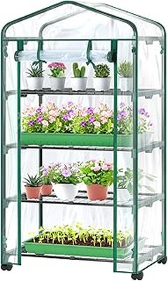 Las mejores plantas para cultivar en tu invernadero de estantería