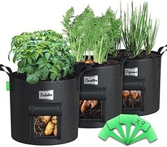 Mejores variedades de plantas para cultivar en un kit de huerto urbano