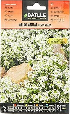 Las mejores semillas de flores anuales para un jardín de polinizadores