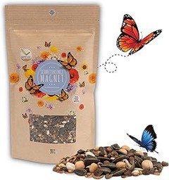 Las mejores semillas de pradera floral para atraer polinizadores