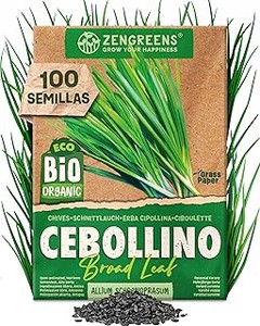 Las mejores semillas ecológicas para cultivar fácilmente en casa