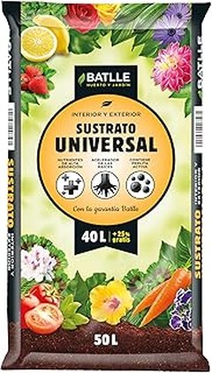 Los sustratos ideales para plantas de interior de bajo mantenimiento