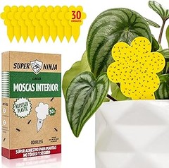 Las mejores trampas para moscas y mosquitos para exteriores