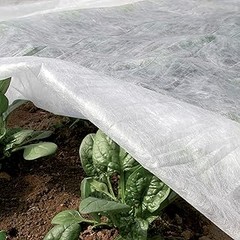 Cómo Asegurar Velos de Protección contra Heladas en Viento Fuerte