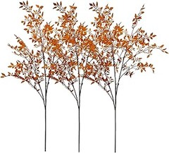 ¿Cómo regar correctamente los árboles ornamentales en otoño?