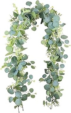 Las Mejores Ofertas en Enredaderas con Flor para Muros