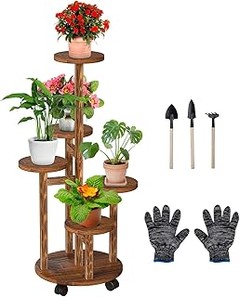 Plagas más frecuentes en plantas de interior y prevención efectiva