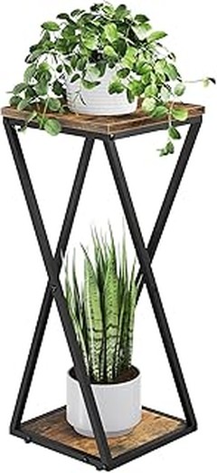Las mejores plantas de interior que purifican el aire en tu hogar