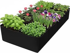 Soluciones para hortalizas que no crecen en macetas