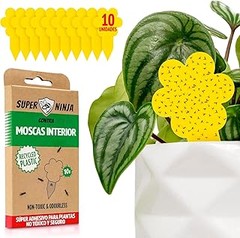 ¿Cuánto cuestan las trampas para moscas y mosquitos?