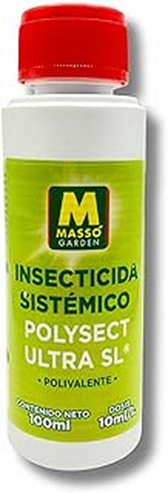 Cómo prevenir el moho en tus frutales: consejos prácticos