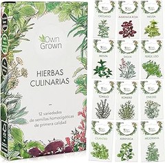 Problemas frecuentes al cultivar semillas de hierbas aromáticas