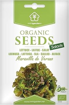 Problemas frecuentes al cultivar semillas ecológicas y sus soluciones