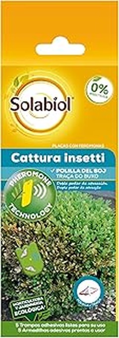 Errores Frecuentes al Implementar Insectos Beneficiosos en Jardinería