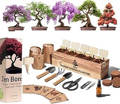 Soluciona los problemas más comunes con kits de inicio de plantas de interior