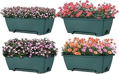 Errores frecuentes al usar macetas colgantes y cómo solucionarlos