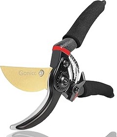 Soluciona los problemas más comunes con tijeras de poda para ramas finas