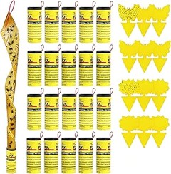 Soluciona Problemas Comunes con Trampas para Moscas y Mosquitos