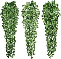 Problemas frecuentes con plantas colgantes de interior