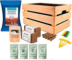 Componentes esenciales para un kit de iniciación al huerto casero