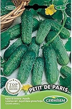 Hortalizas de hoja para huerto