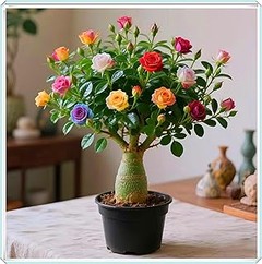 Descubre qué son los bulbos de flores de primavera y cómo funcionan
