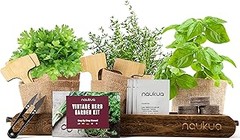 Disfruta deliciosas recetas con hierbas aromáticas cultivadas en casa