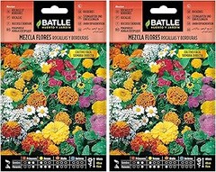 ¿Qué son las semillas de flores para macizos y borduras?