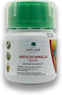 Cómo Identificar las Infestaciones de Cochinilla y Mosca Blanca
