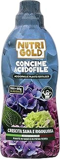 ¿Cómo saber si mi planta acidófila necesita abono?