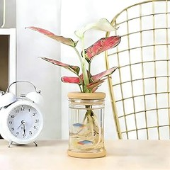 Problemas Frecuentes con Macetas de Resina Ligeras y Sus Soluciones