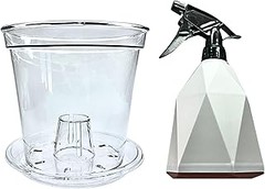 ¿Qué tamaño de maceta es ideal para tus orquídeas?