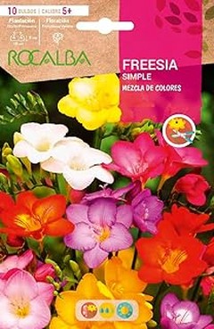 ¿Cuándo es la mejor temporada para plantar bulbos variados?