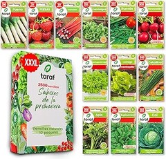 La mejor temporada para sembrar hortalizas de fruto en tu huerto