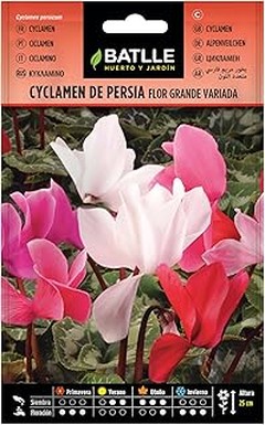 Experiencias de Jardineros con Flores Perennes